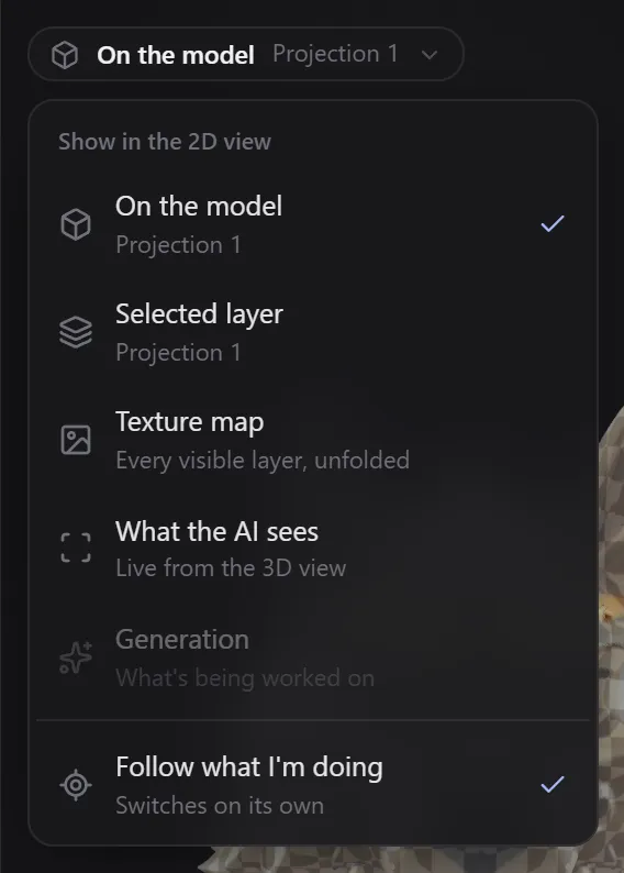 The 2D view mode menu with On the model, Selected layer, Texture map, What the AI sees and Generation